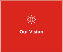 Our Vision